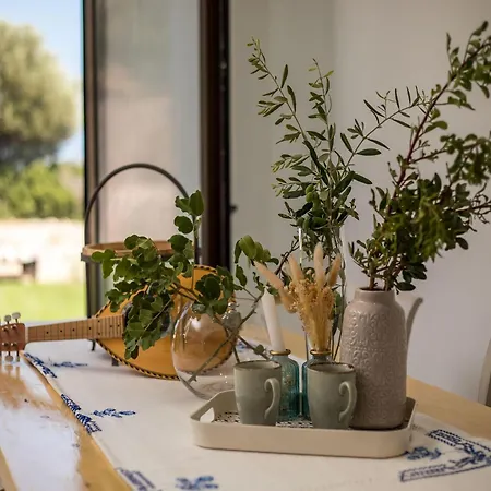 וילה Agrotouristic In Rhodes עיר רודוס